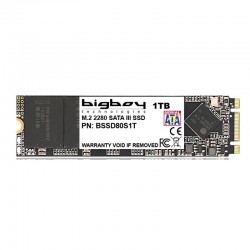 BIGBOY 1TB 22X80MM M.2 SATA 3 NOTEBOOK SSD
