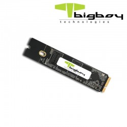 BIGBOY A800 1TB SATA 3 APPLE SSD