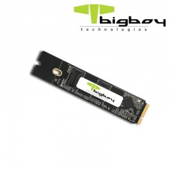 BIGBOY A800 512GB SATA 3 APPLE SSD