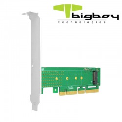 BIGBOY PCIE 4.0 X4 PCIE 4.0 X16 1XM.2 22X80 CEVIRICI UNITE