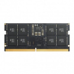 Team Elite 16GB (1x16GB) 5600Mhz CL46  DDR5 SODIMM Ram (TED516G5600C46A-S01)